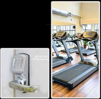  celina b2 wing Others