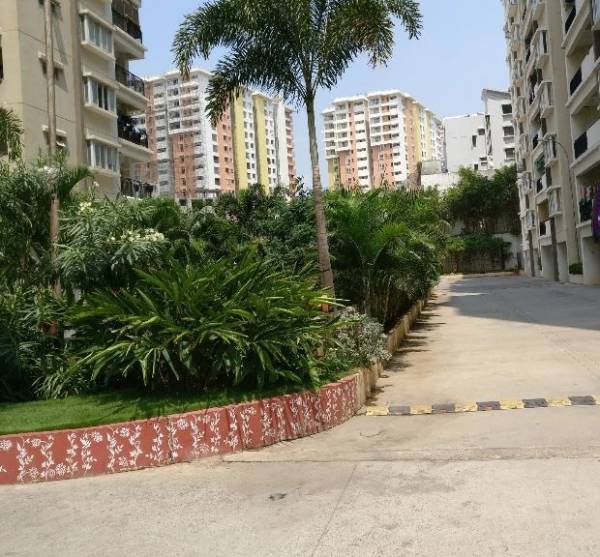  fortune-fields-villas Paved Compound