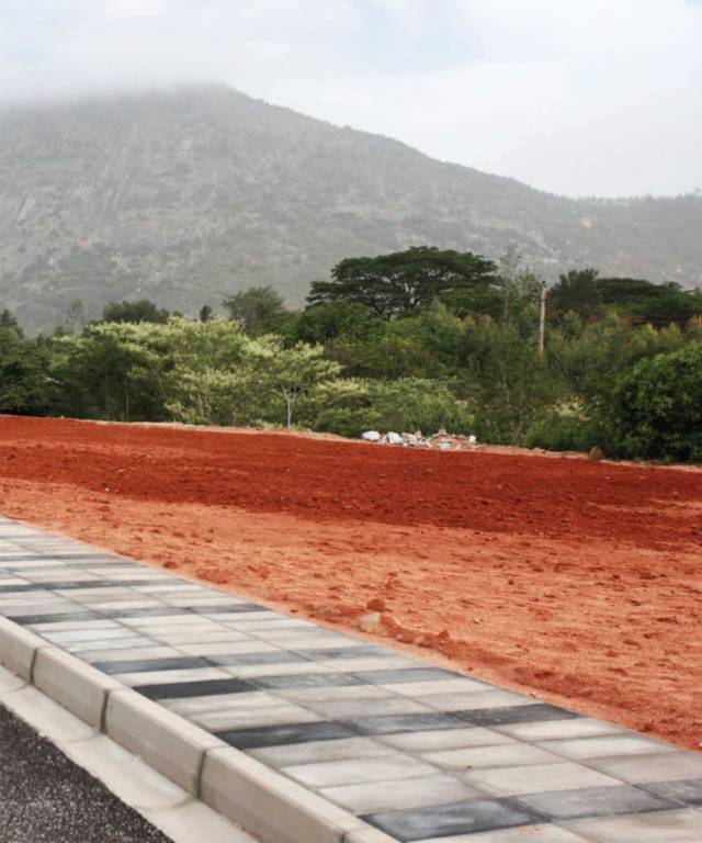 Images for Main Other of DivyaSree Nandi Belle Vue