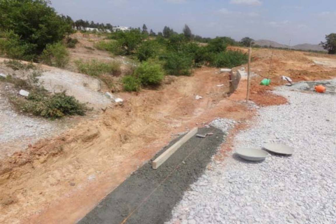 Images for Main Other of DivyaSree Nandi Belle Vue