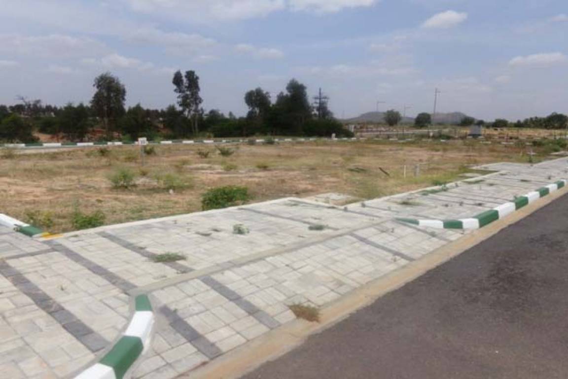 Images for Main Other of DivyaSree Nandi Belle Vue