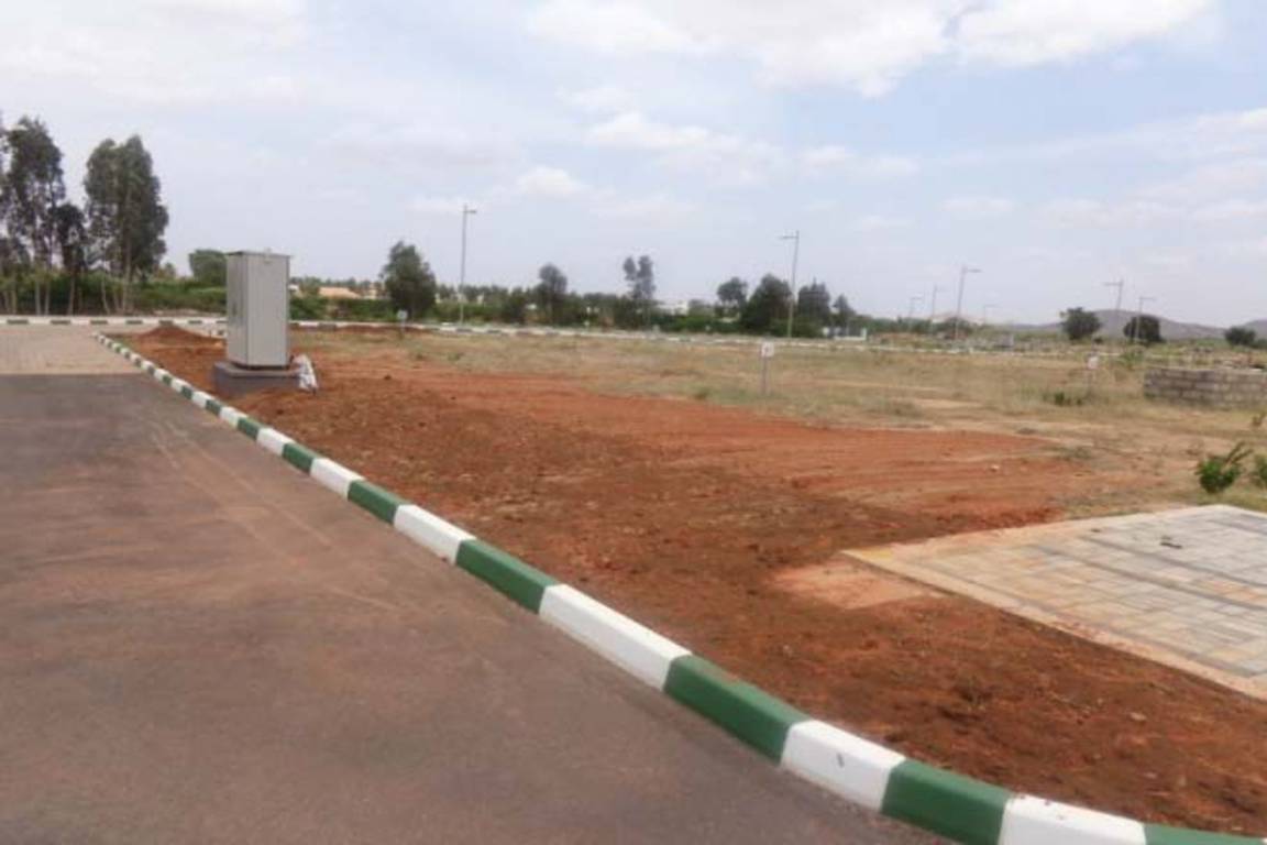 Images for Main Other of DivyaSree Nandi Belle Vue