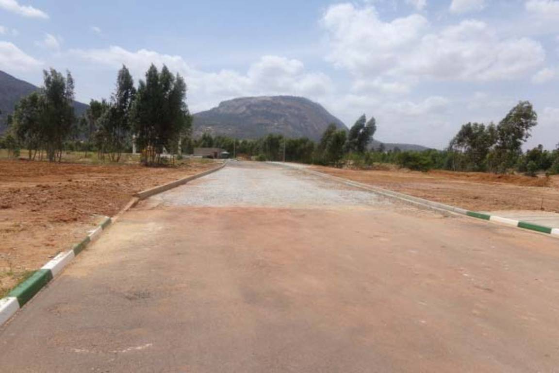 Images for Main Other of DivyaSree Nandi Belle Vue