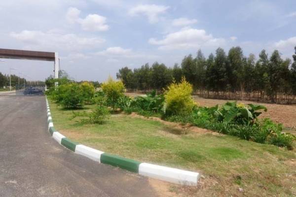 Images for Main Other of DivyaSree Nandi Belle Vue