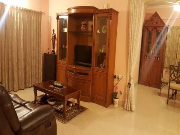  sparkling-nest Others