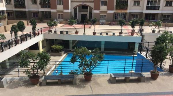 Swimming Pool harmony Swimming Pool