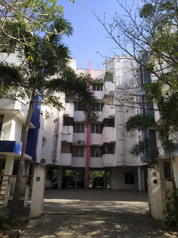  fern springs Elevation