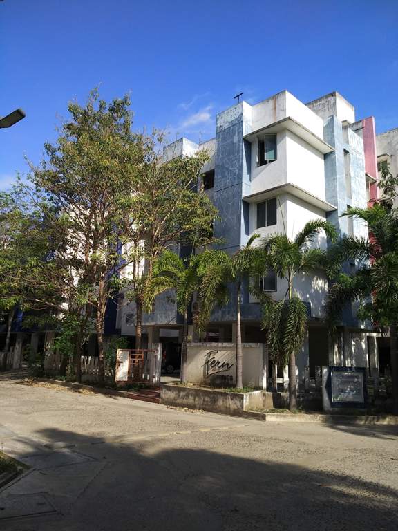  fern springs Elevation