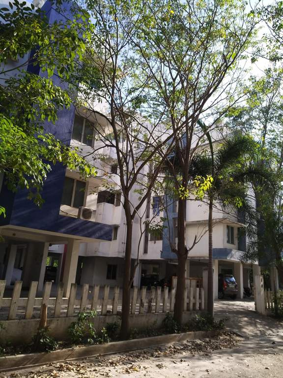  fern springs Elevation