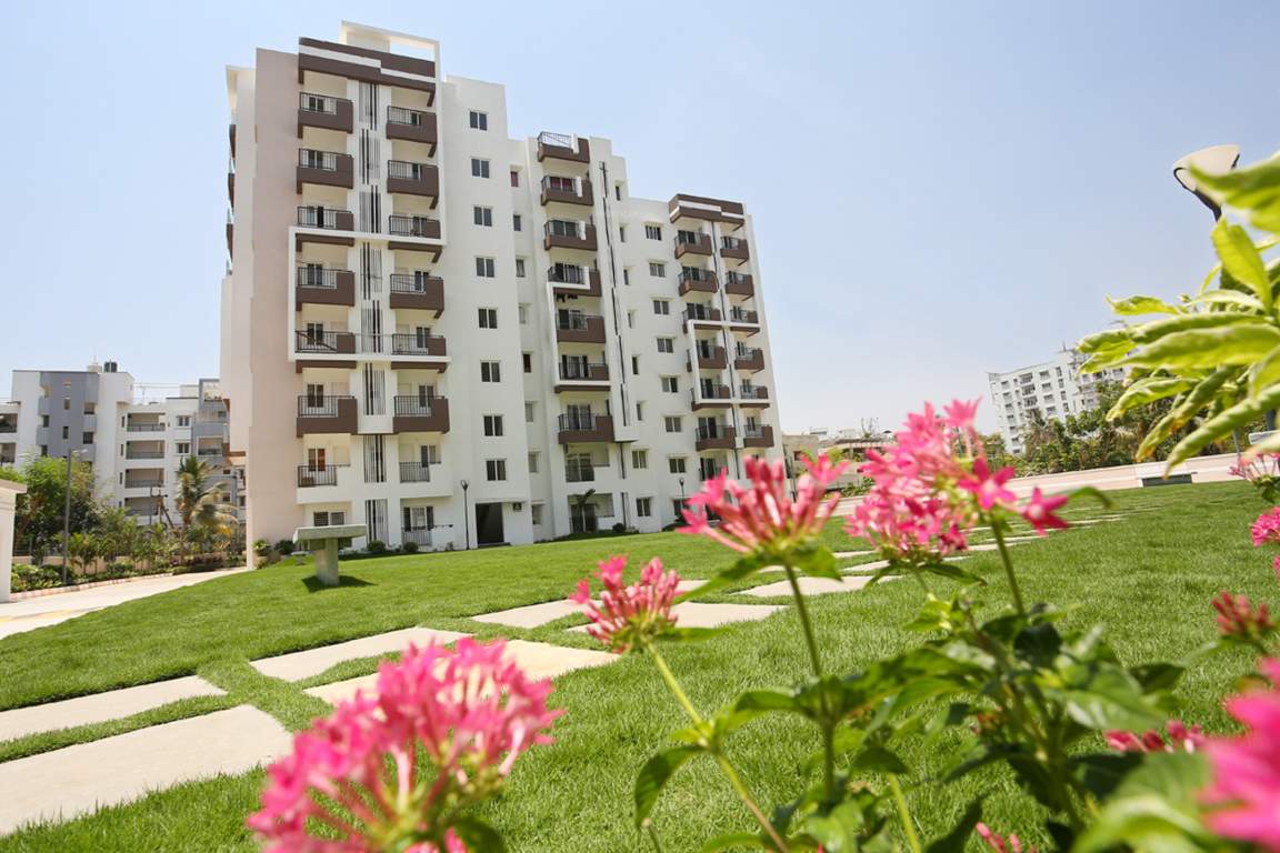  rythme Images for Elevation of Trend Rythme