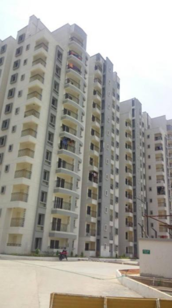 vista phase 1 Elevation