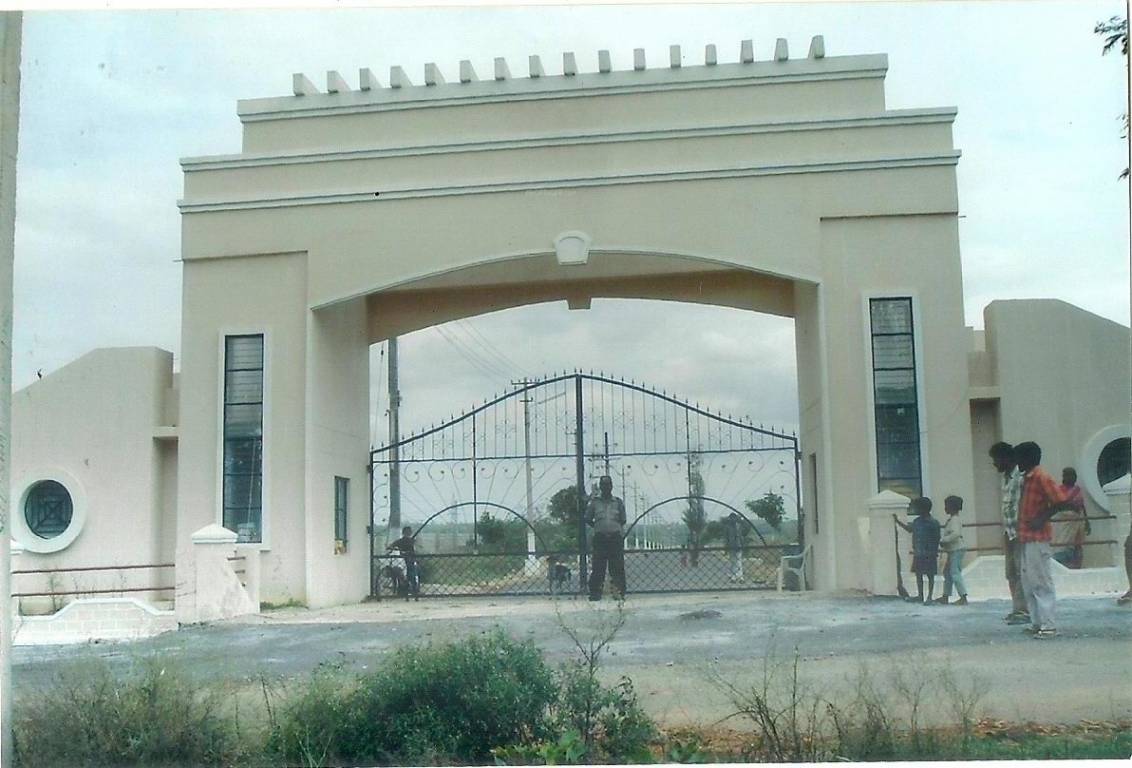  celebrity lakeview Plot