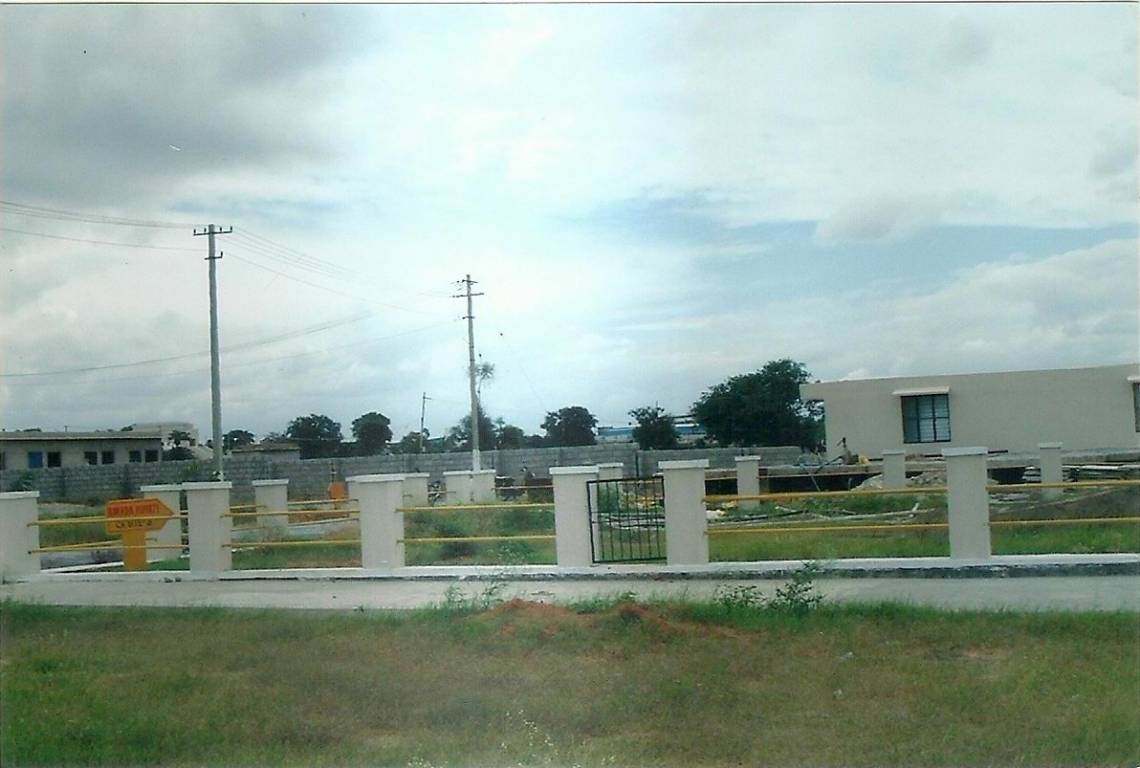  celebrity lakeview Plot