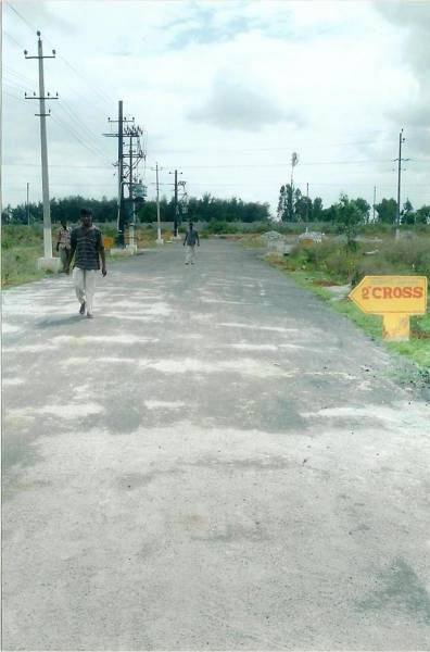  celebrity-lakeview Plot