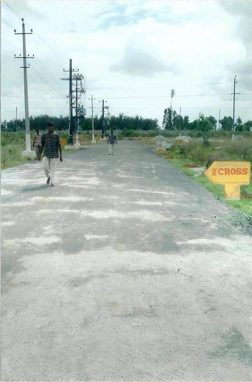  celebrity lakeview Plot