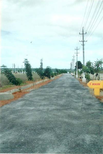  celebrity-lakeview Plot