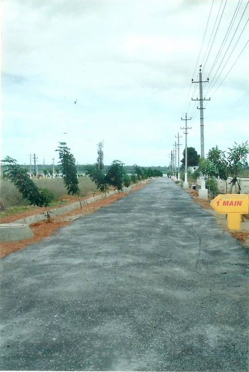  celebrity lakeview Plot