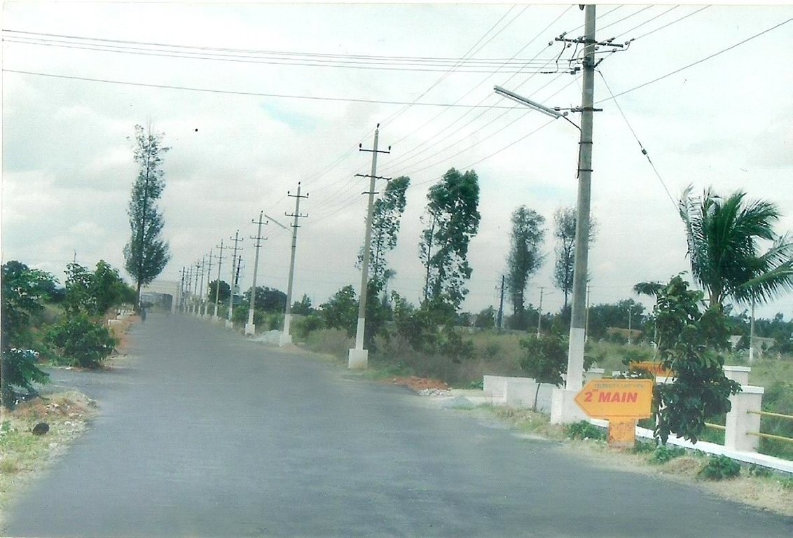  celebrity lakeview Plot