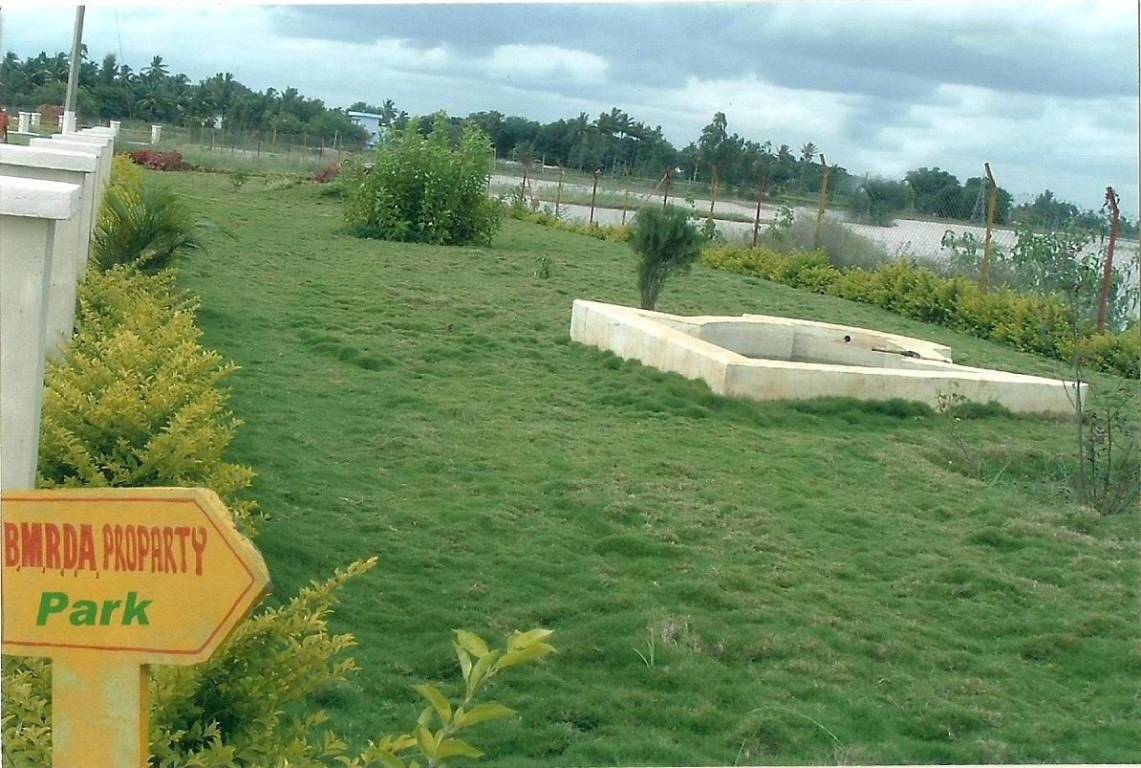  celebrity lakeview Plot