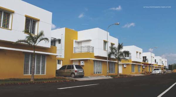 Elevation urbano Elevation