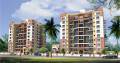 Chaitanya Developer Platinum