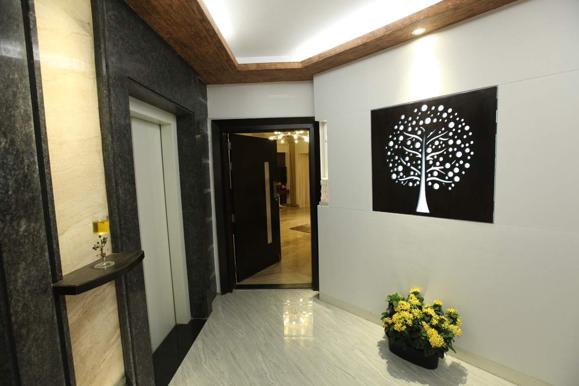  sophronia Images for Main Other of KUL Sophronia