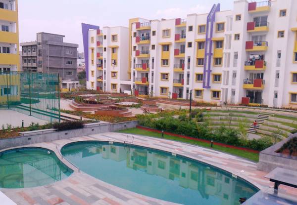 Others gr-lavender Others