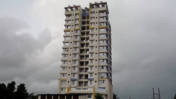 main of Cosmos Cosmos County Bella