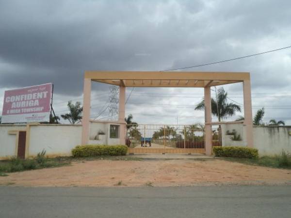 Images for Elevation of Confident Auriga