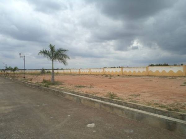 Images for Main Other of Confident Auriga