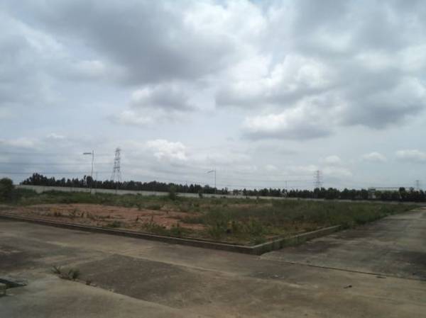 Images for Main Other of Confident Auriga