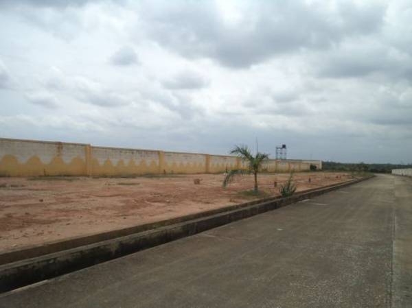 Images for Main Other of Confident Auriga