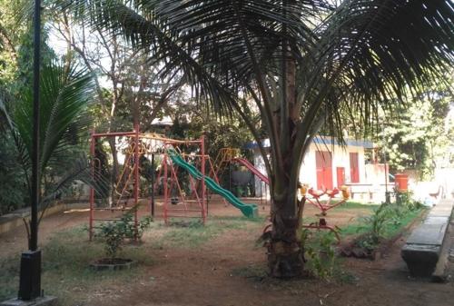  country-park Children's play area