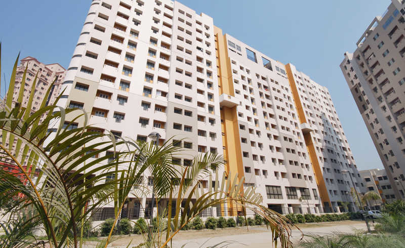 Elevation woods Elevation