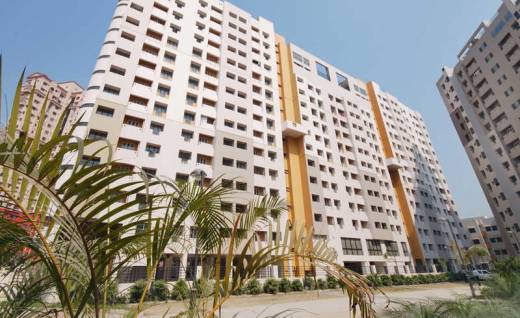 woods Elevation Elevation