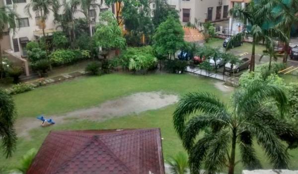  woods Landscaped Gardens