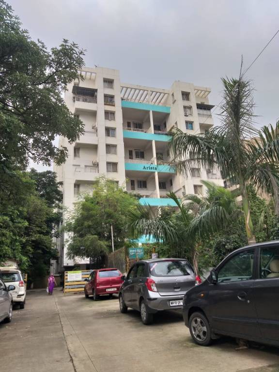  tej arista Elevation