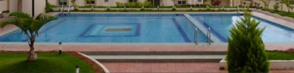 Swimming Pool ridge Swimming Pool