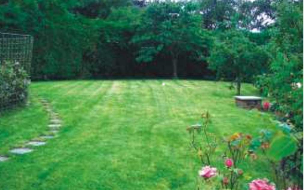 Images for Amenities of Modi Sunshine Park