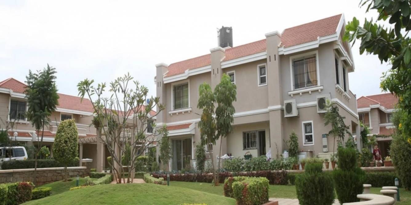  malachite phase iii Elevation