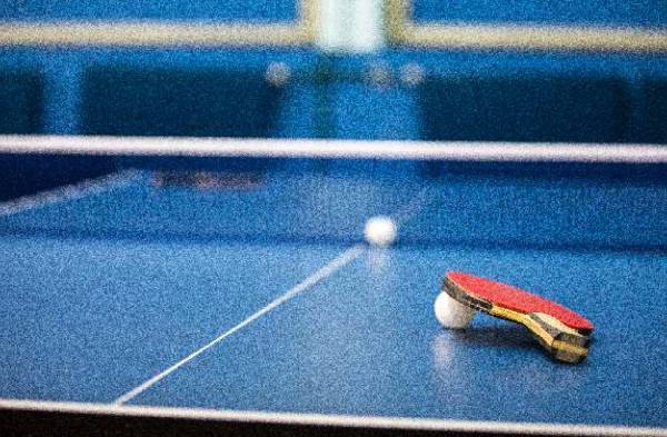 primrose Table Tennis