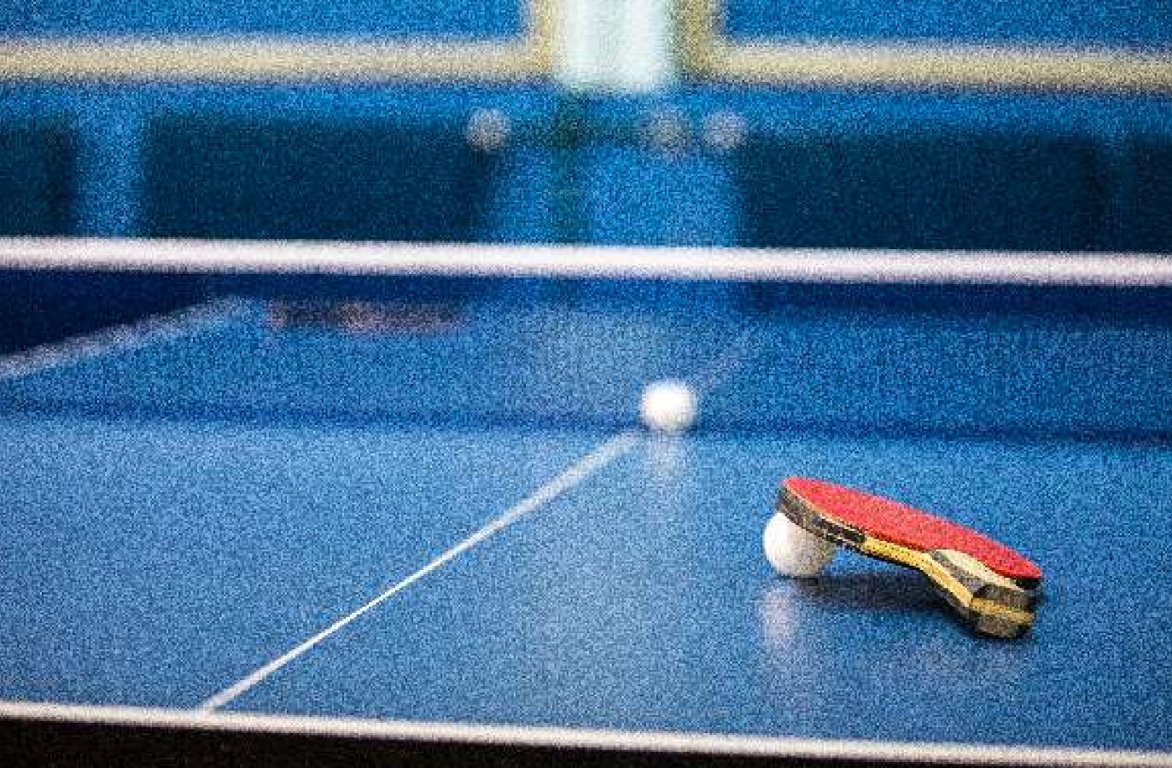  primrose Table Tennis