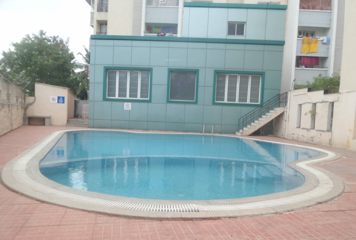  bbc city paark Others