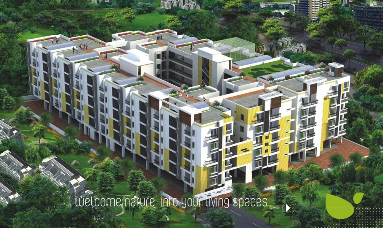  tulips Images for Elevation of Gowra Hallmark Tulips