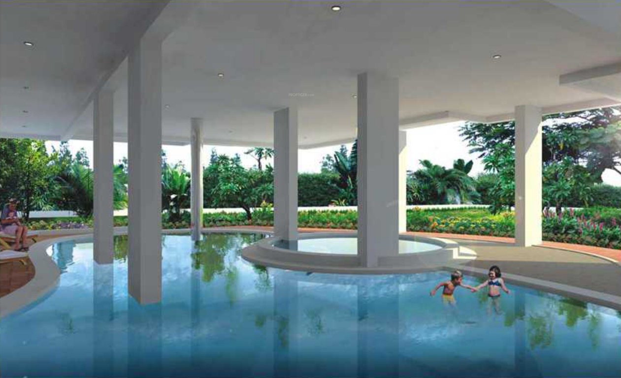  tulips Images for Amenities of Gowra Hallmark Tulips