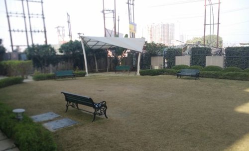  grace Landscape Garden and Tree Planting