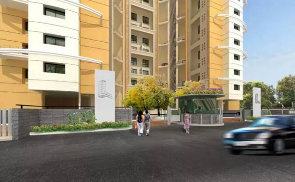  golden-trellis Others