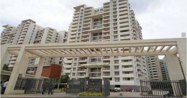  ivory-heights Elevation