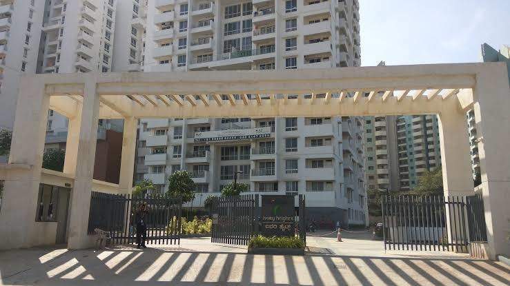  ivory heights Elevation