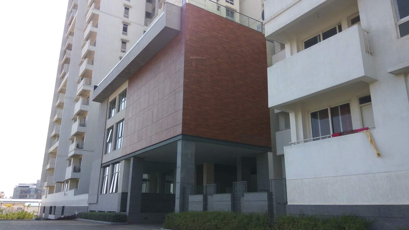  ivory heights Others